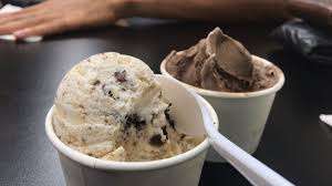 Trendy High-End Ice Cream Cafe In Aggieland For Sale!