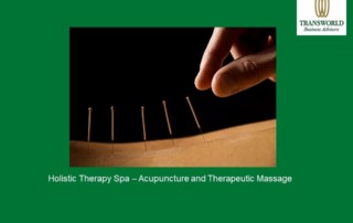 Holistic Therapies - Acupuncture and Therapeutic Massage