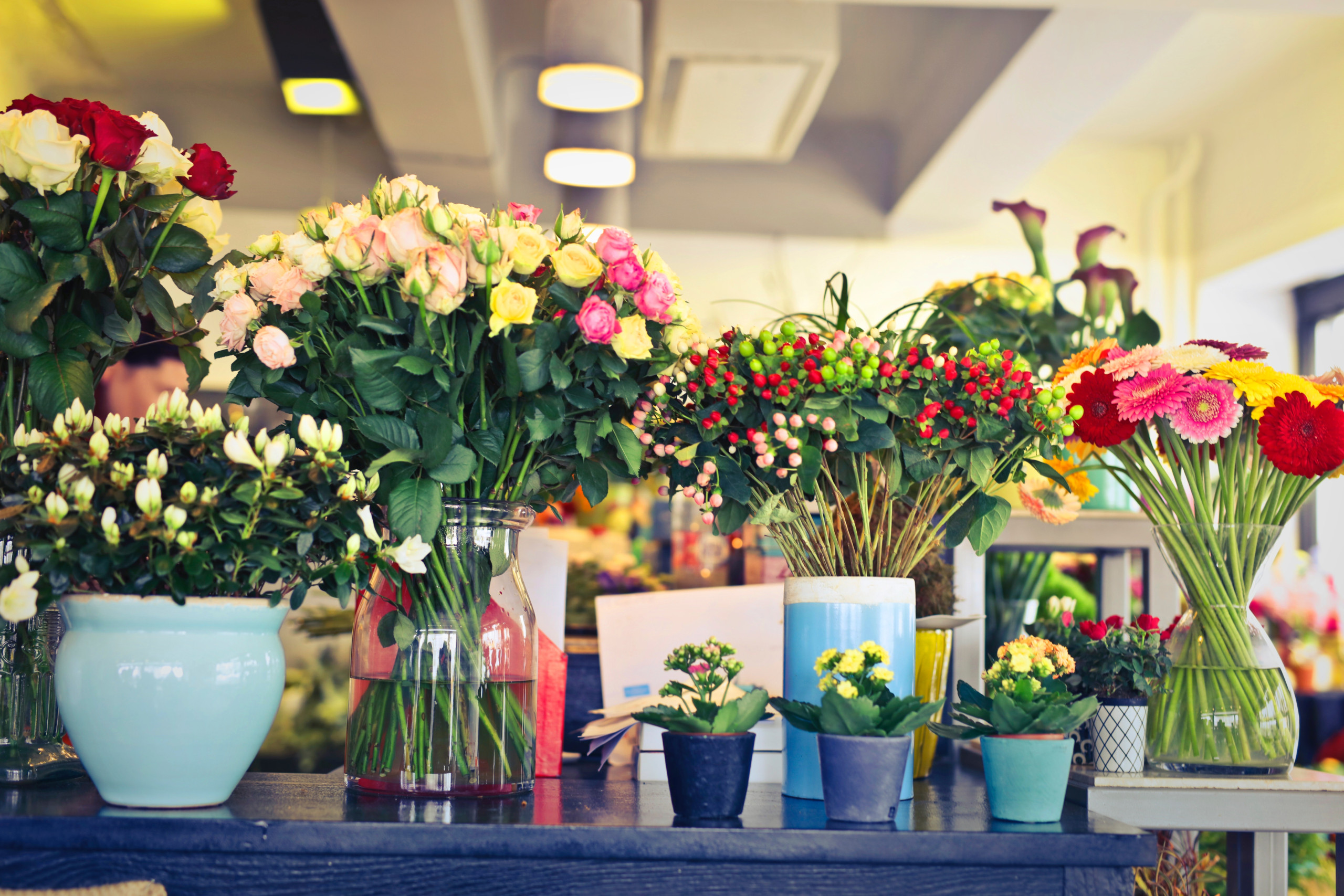 Absentee Wake County Florist Priced For Quick Sale