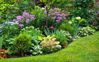 PROFITABLE RESIDENTIAL LANDSCAPE BUSINESS LOCATED IN GROWING AREA