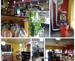 Coffee shop and Roastery in a high traffic upscale community