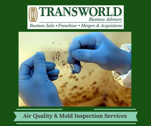 Mold & Air Quality Inspection Service - Home-Based - NYC Area