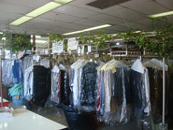 Drycleaning & Alteration Business on NW Highway