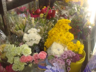 Florist Shop in Busy Strip Center
