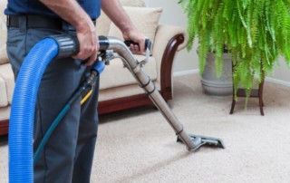 Established Carpet Cleaning and Related Services Business