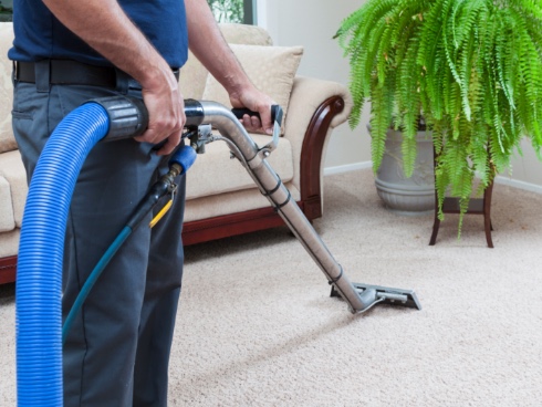 Established Carpet Cleaning and Related Services Business
